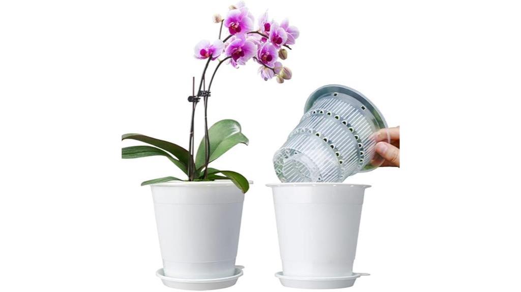 clear orchid pots set