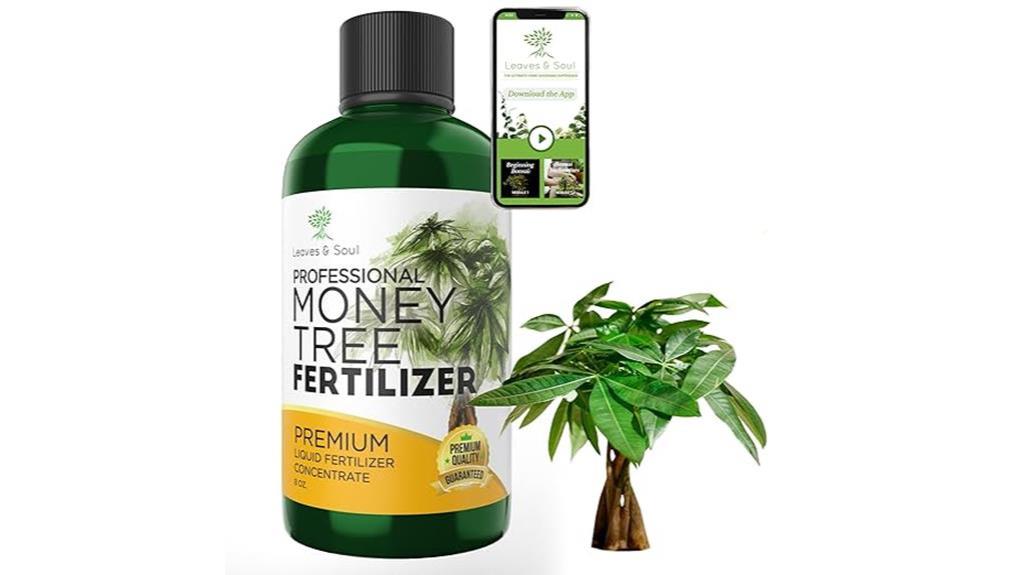 liquid money tree fertilizer