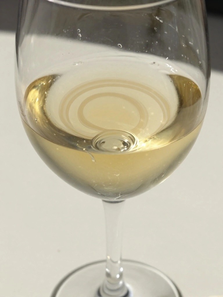 Stemmed wine glass with pale yellow liquid, bubbles, and concentric surface rings