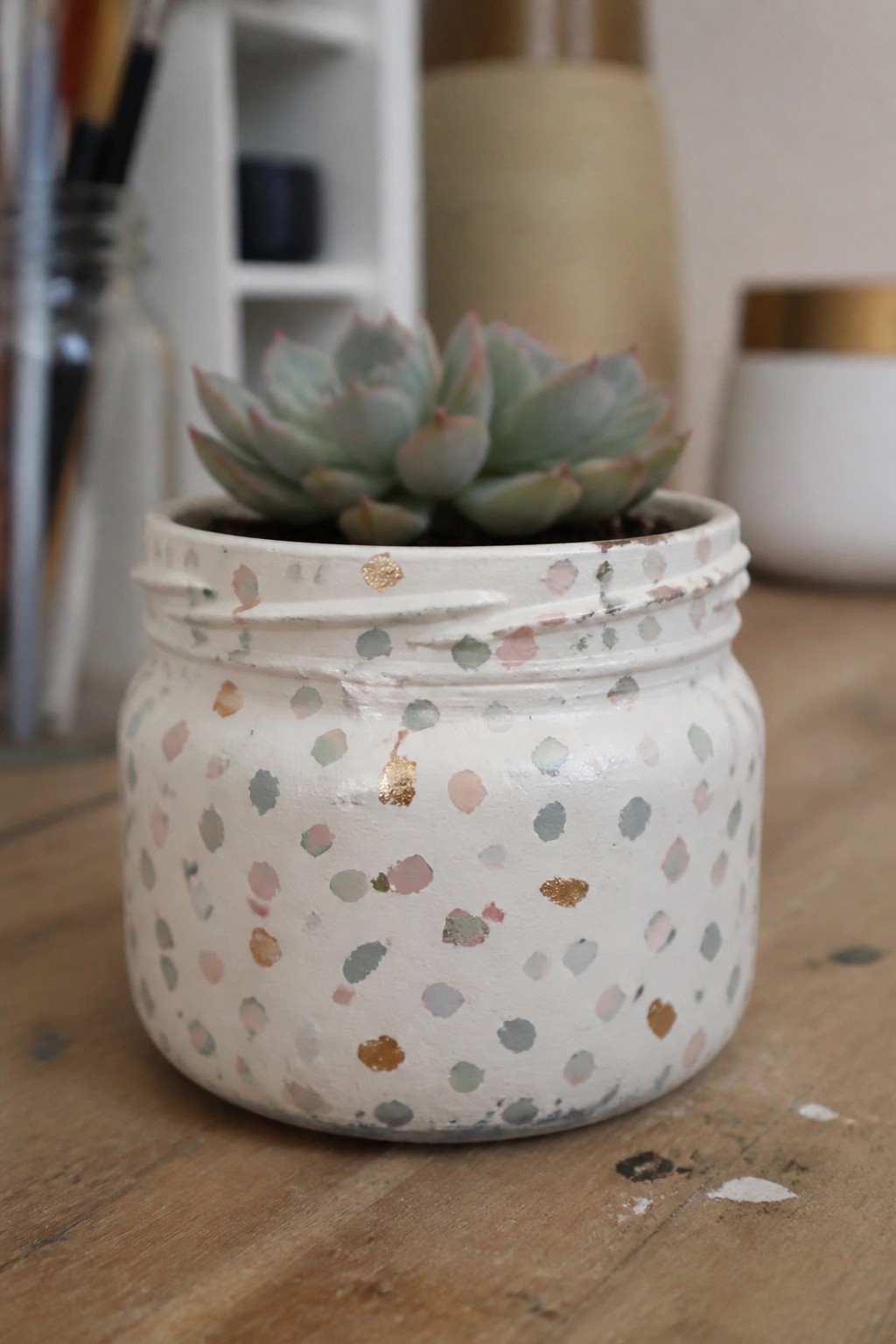 Succulent in white jar with pastel and gold speckles on wood