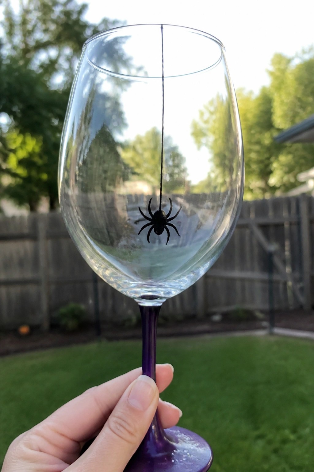 Hand holding purple-stemmed wine glass with black spider dangling inside on thread