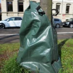 A green watering bag fitted around the trunk of a young street tree