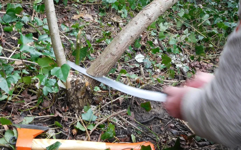A hand cutting through a young branch with a pruning saw