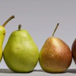 Four different pear varieties side by side