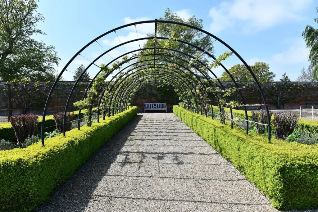 Metal arches over a garden path, a frame for training fruit trees into a tunnel